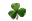 shamrock